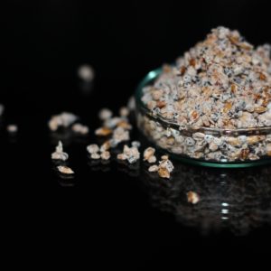 Mycelium d’ensemencement (sur graine)