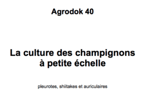 Lire la suite à propos de l’article Culture des champignons à petite échelle : pleurotes, shiitakes et auriculaires